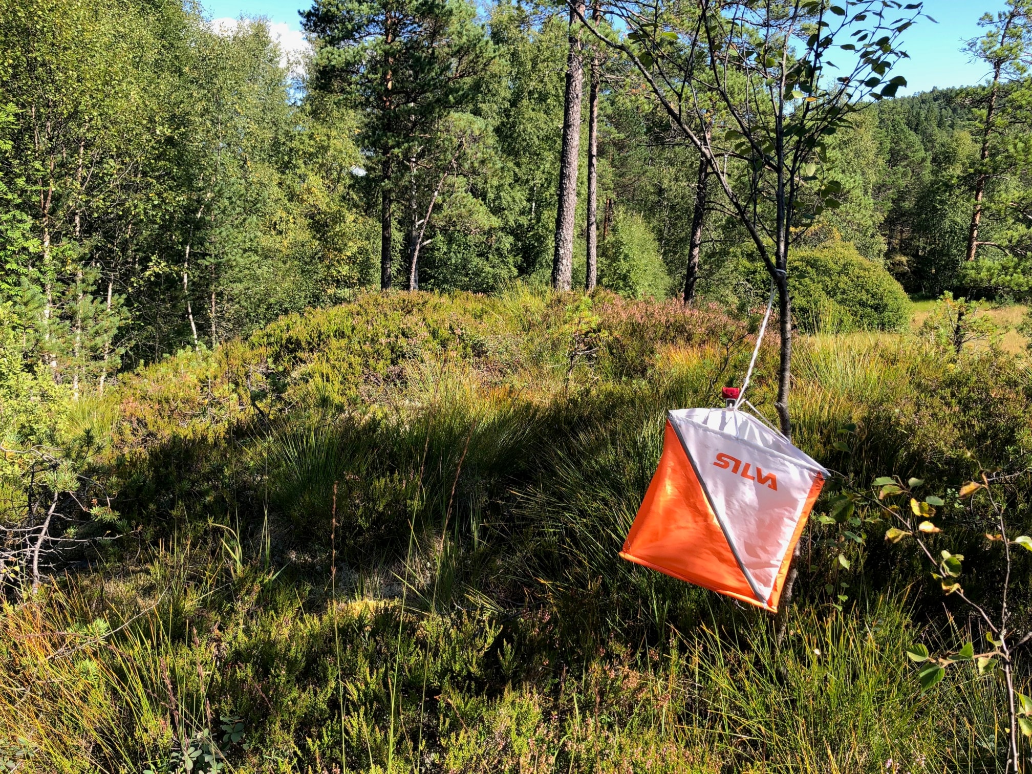 Nærløp Langeland 19.6.